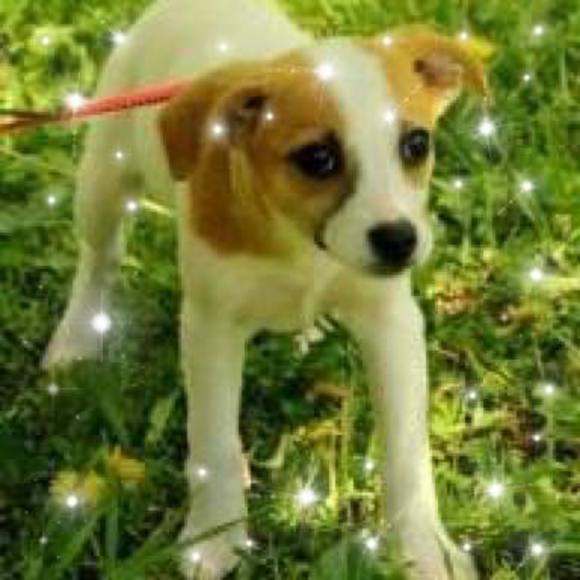 Meet your Posher, Deborah - Picture 1 of 1